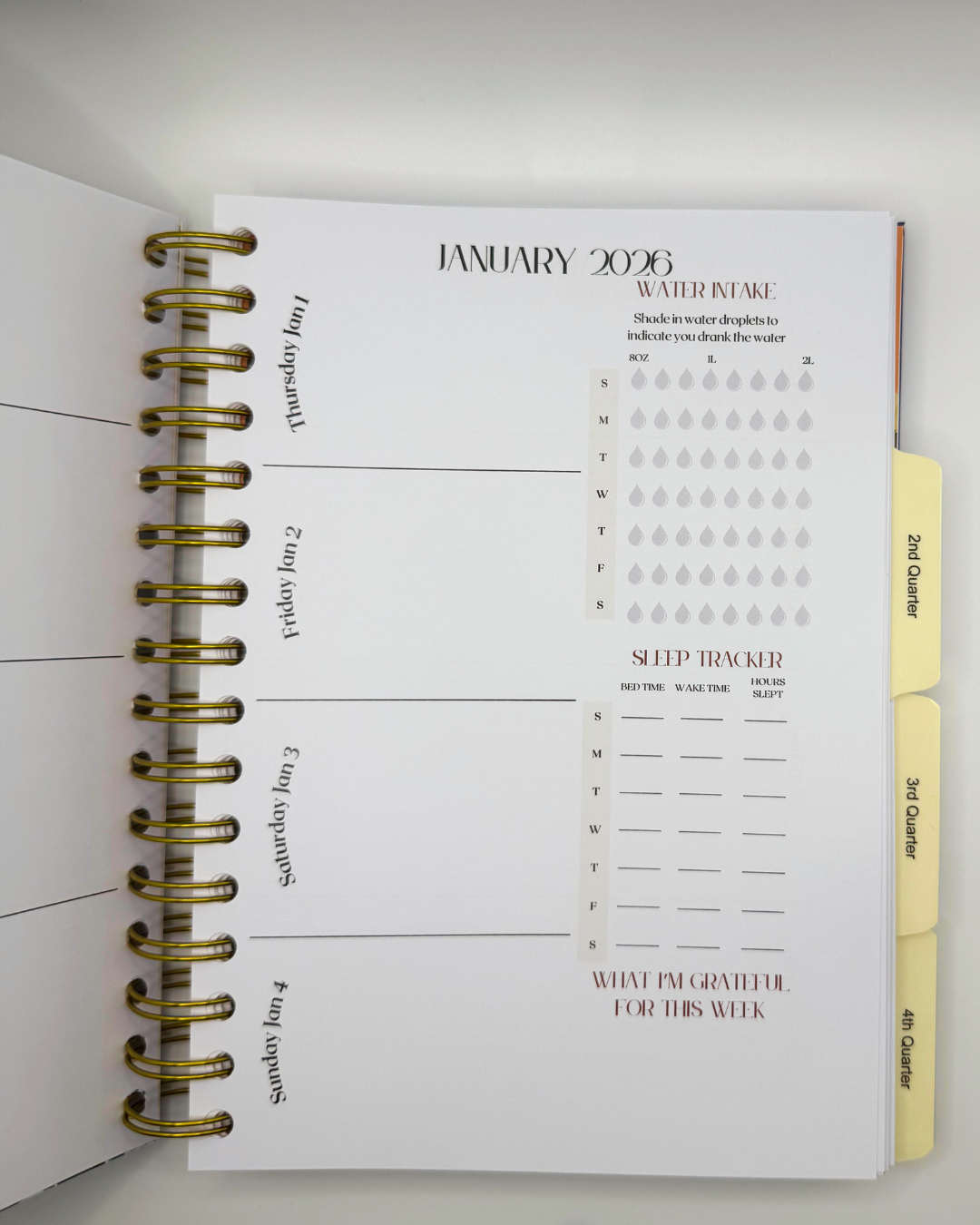 Color Me Boss Undated Daily Planner